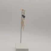 IMG_20260123_092048_1
